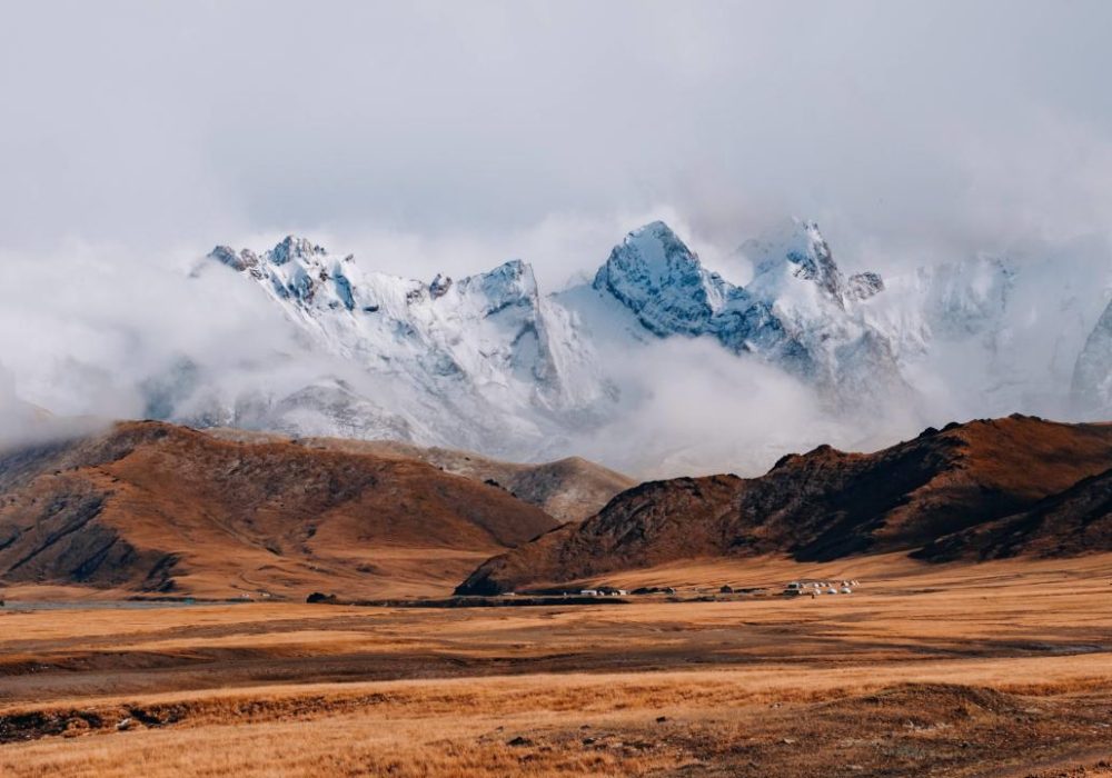 mick-truyts-4dZnL_Da9gk-unsplash_c29pjb